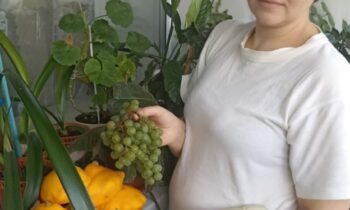 50